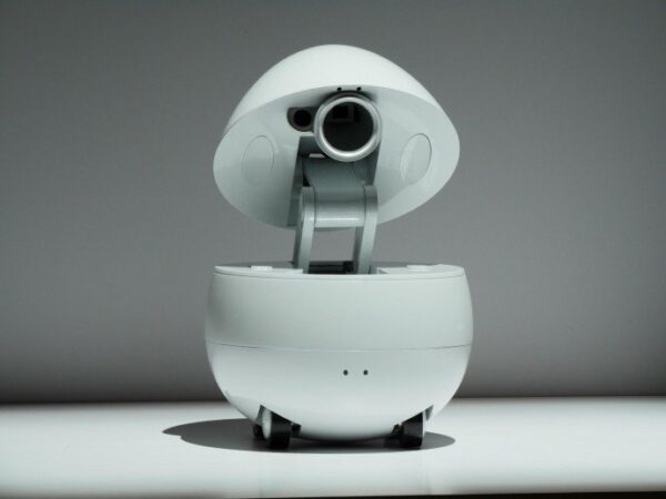 Desktop robot companion